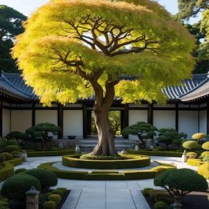 d840271bb76ebc02e5e8a044a5095ba8 Ginkgo Biloba